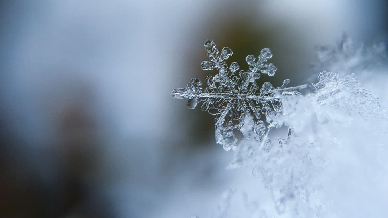 A snowflake